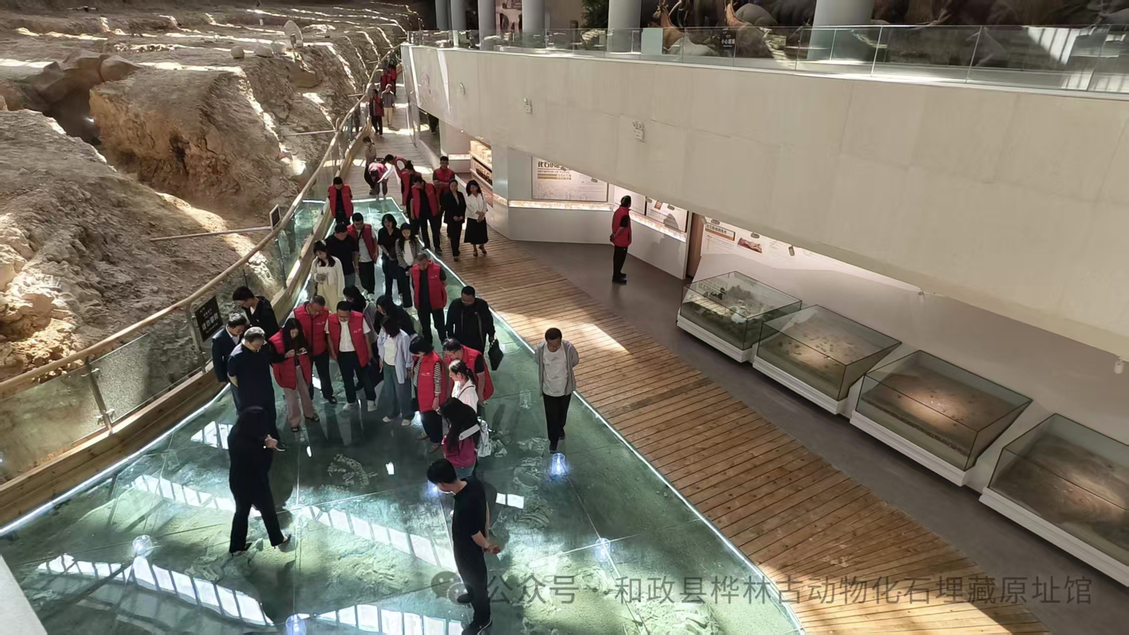 微信图片_20250624172151.jpg